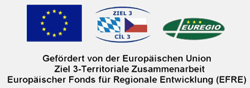 Gefrdert von der Europischen Union