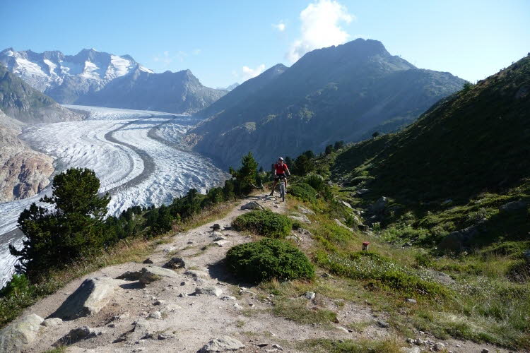 125 Aletschgletscher  214