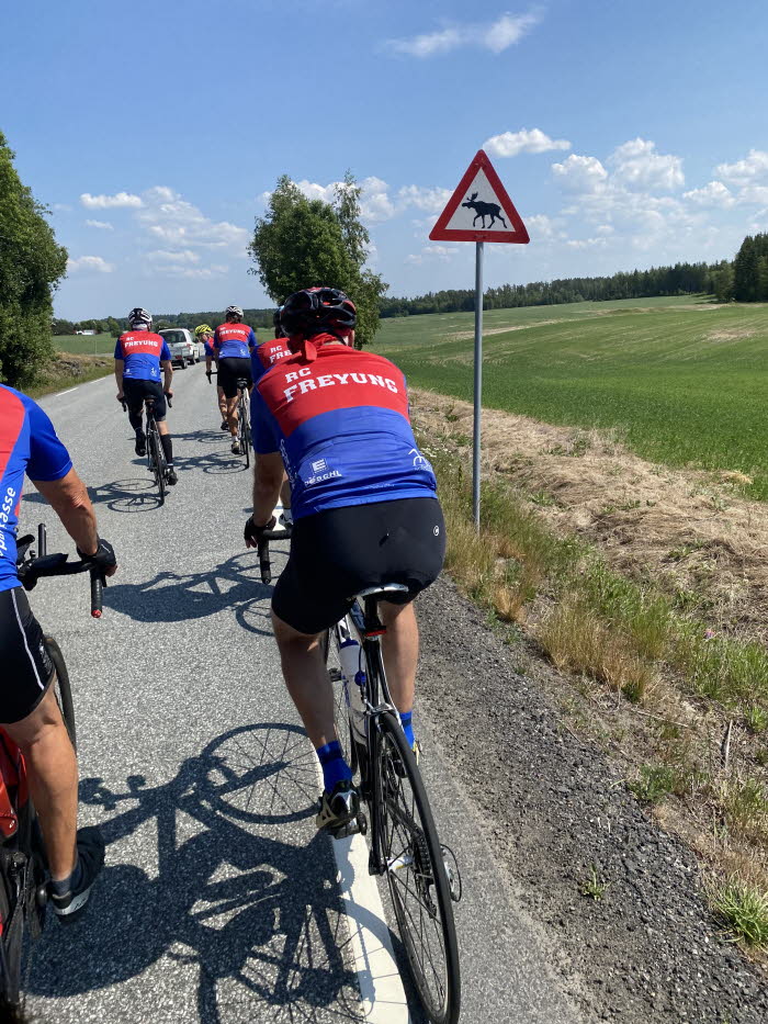 Bild 9 Elchwarnschild
