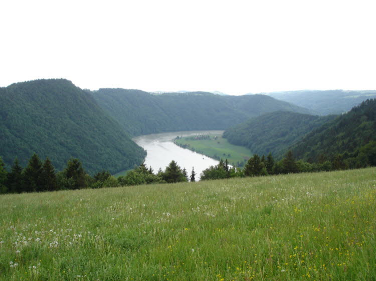 DSC02537