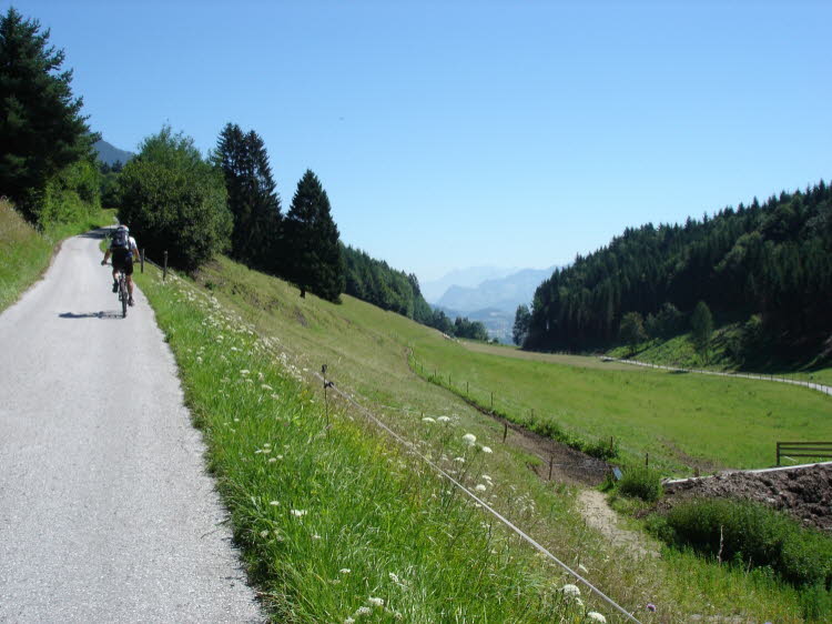 DSC03527