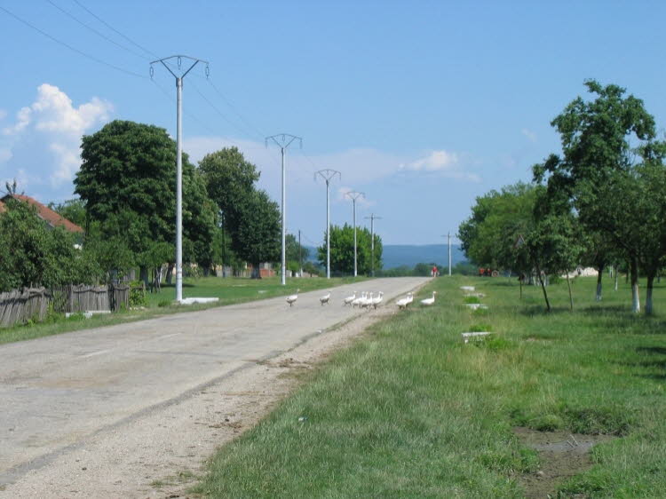 RC - Rumänien 2008 - 2 P 313